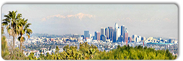 Los Angeles Translation Services